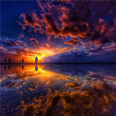 我叫mt新奇幻之旅果盘版下载